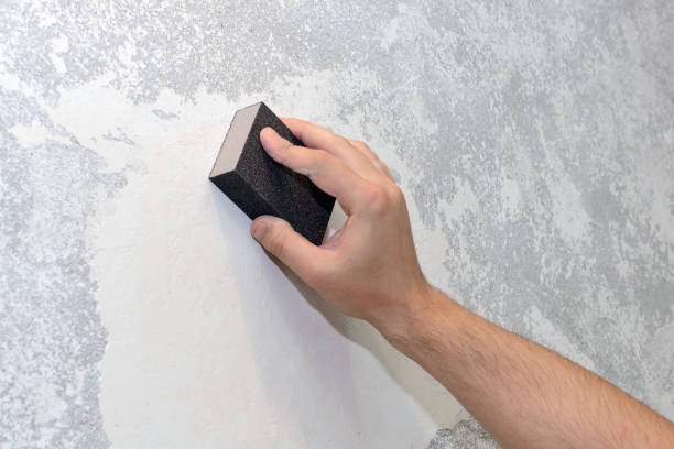 Mold Documentation for Insurance Claims in Lebanon, KY