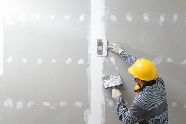 Best Mold Documentation for Insurance Claims  in Lebanon, KY