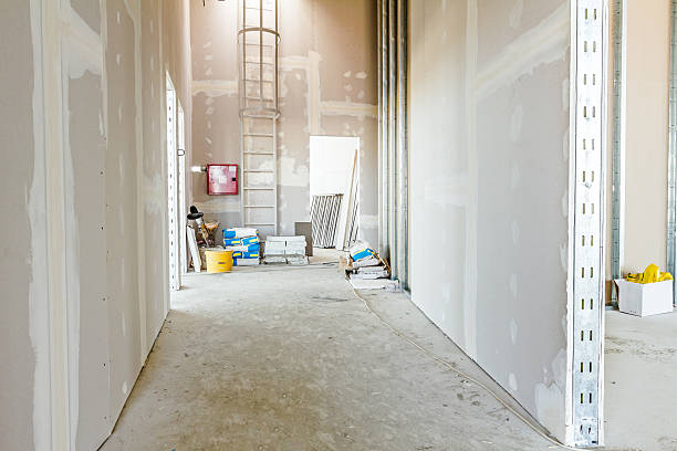 Mold Odor Removal Services in Lebanon, KY