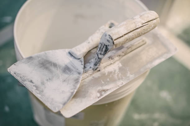 Best Commercial Mold Inspection  in Lebanon, KY
