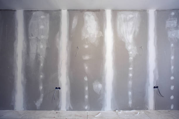 Trusted Lebanon, KY Mold Removal Experts